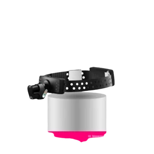 Surgical Headlight With Camera