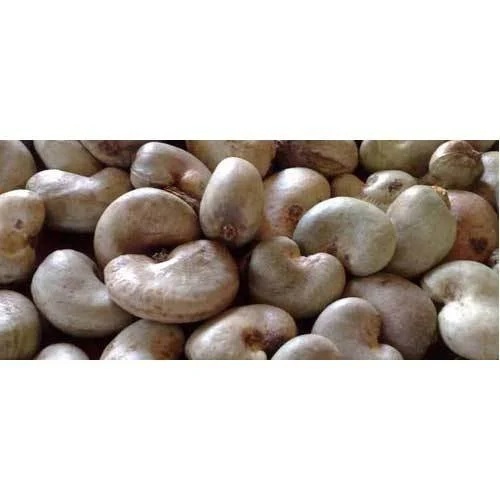 Cashew Nut Shell
