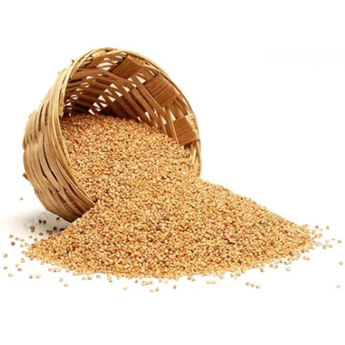 Organic Kodo Millet - Cultivation Type: Common