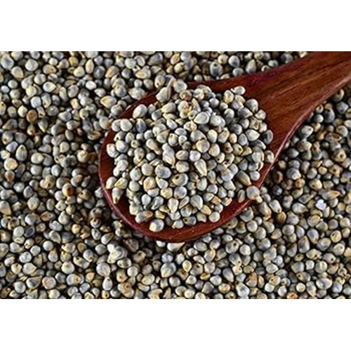 Organic Pearl Millet