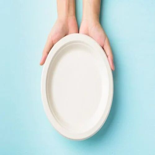 Biodegradable Disposable Round Paper Plate