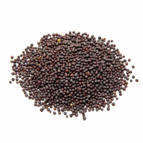 Black Mustard Seeds