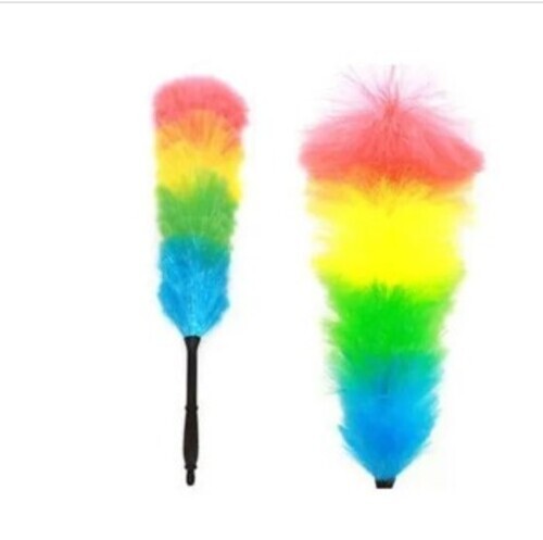 Feather Duster