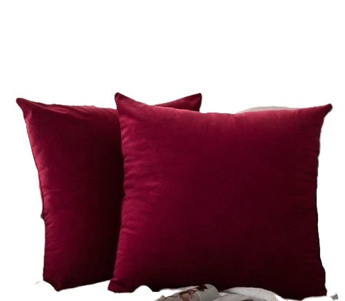 Red Velvet Pillow