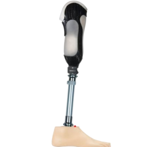 Prosthetic Leg