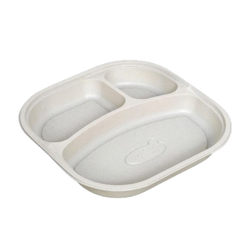 Rectangular Disposable Plate