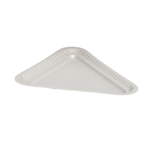 Snacks Disposable Plate