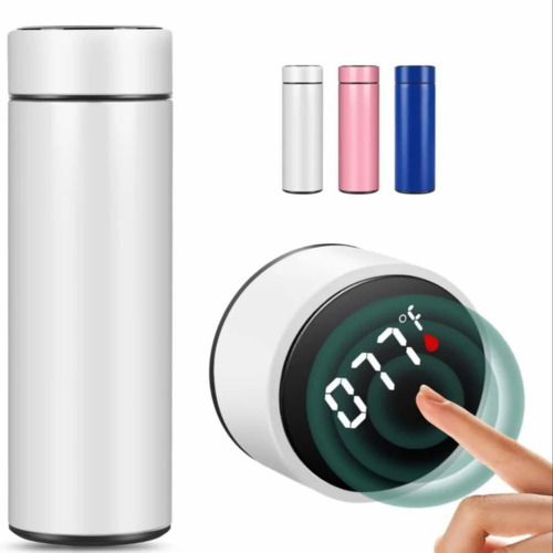 01 Temperature Water Bottle