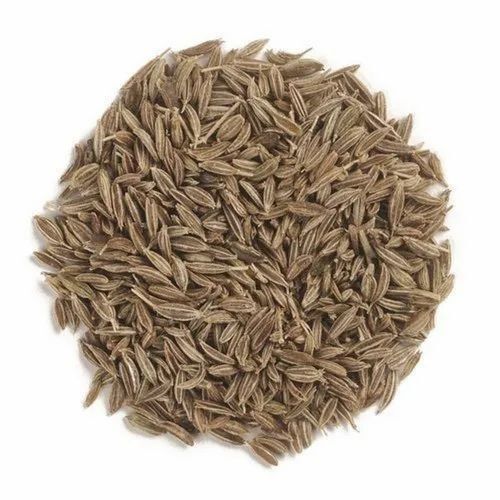 Cumin Seeds By Vaibhav Enterprises