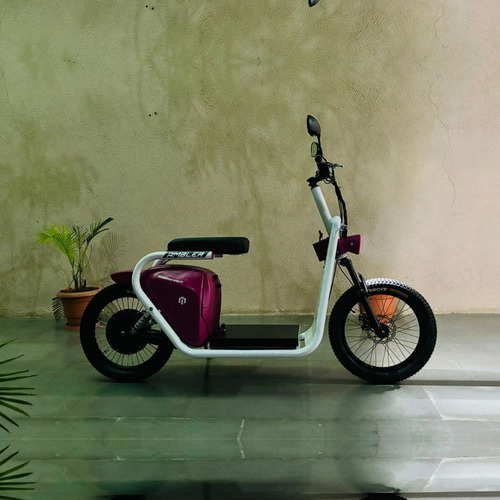 NEW High Performance Mini Electric Bicycle