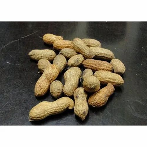 Raw Groundnut