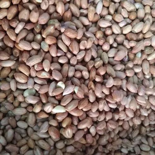 Raw Groundnut Seeds