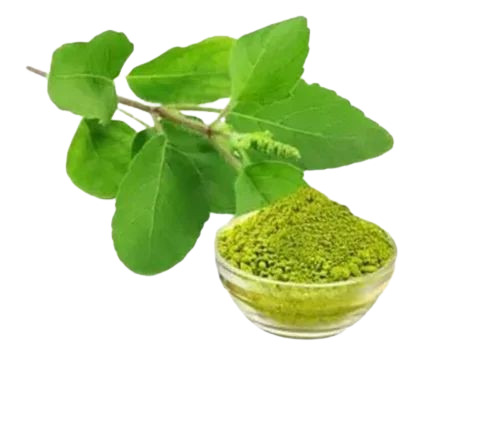 Tulsi Powder
