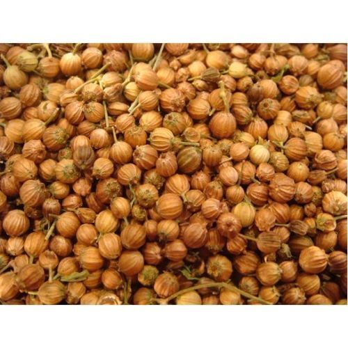 Coriander Seeds