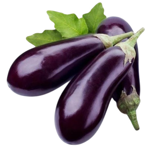 ताज़ा बैगन