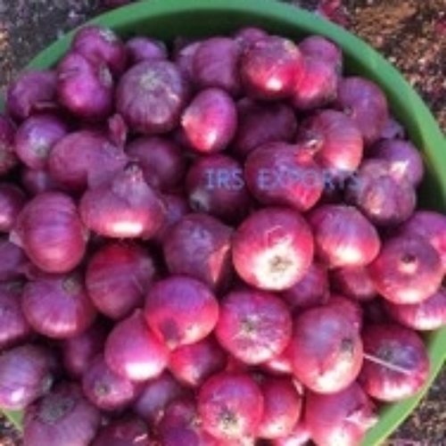 Nashik Red Onion