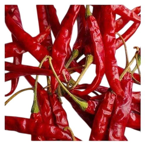 Teja Dried Red Chilli