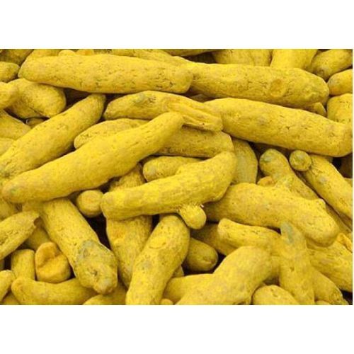 Turmeric Finger
