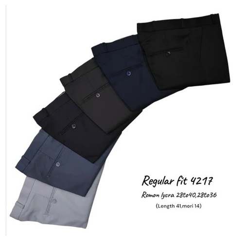 Men Regular Fit Pants