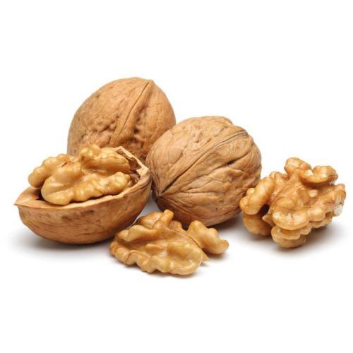 Dried Walnut