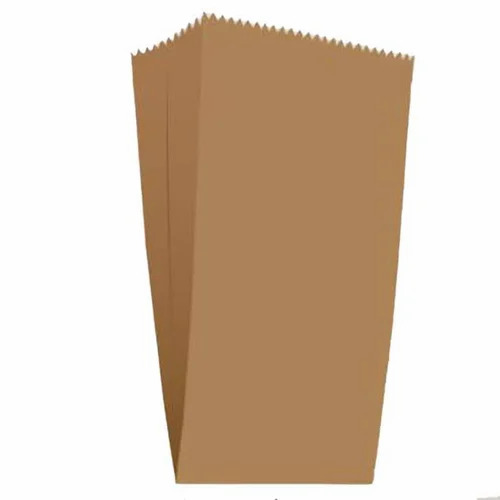 Eco Friendly Brown Paper Bag