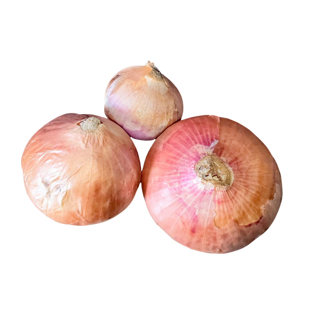 Fresh Red Onion