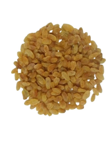 Golden Yellow Raisin