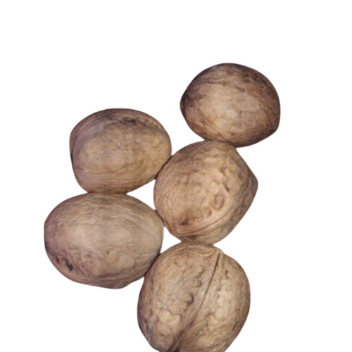 Walnut Kernels