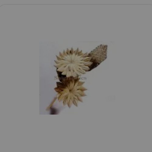Dry Leaf Flower