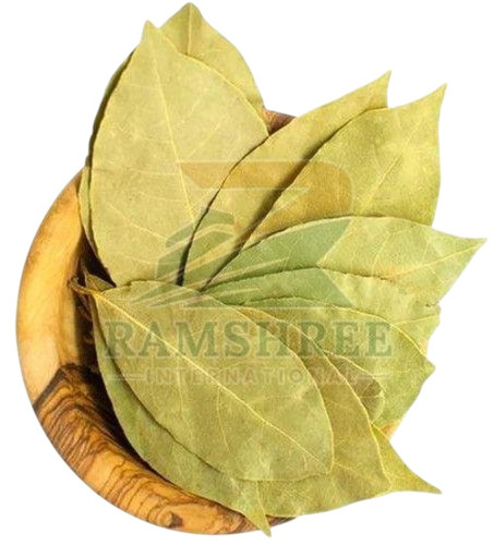 Green Bay Leaves