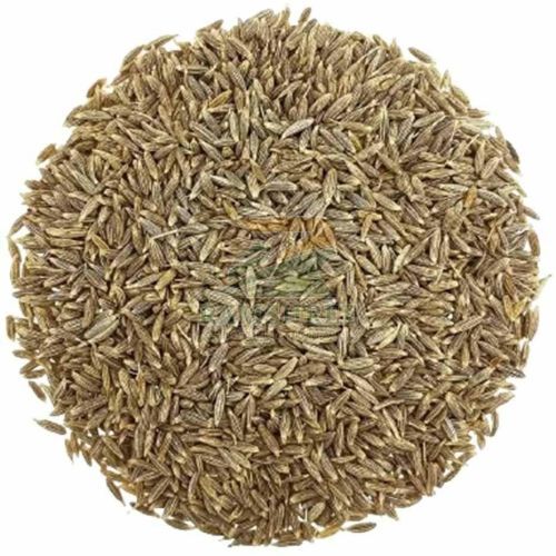 Gulf Cumin Seed