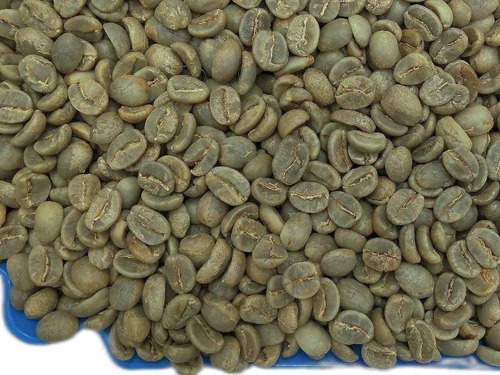 Loose Natural Green Coffee Beans - Cultivation Type: Organic
