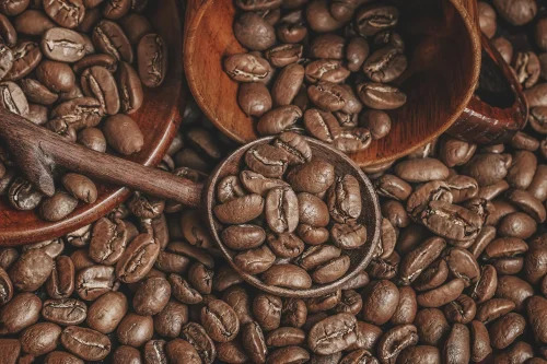 Loose Organic Arabica Coffee Beans