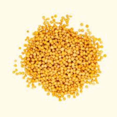 Loose Yellow Mustard Seeds
