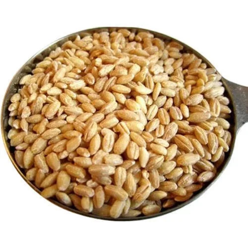 Milling Wheat Grain