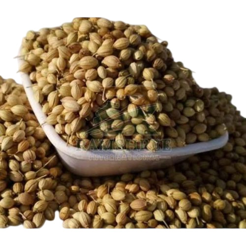 Scooter Coriander Seed