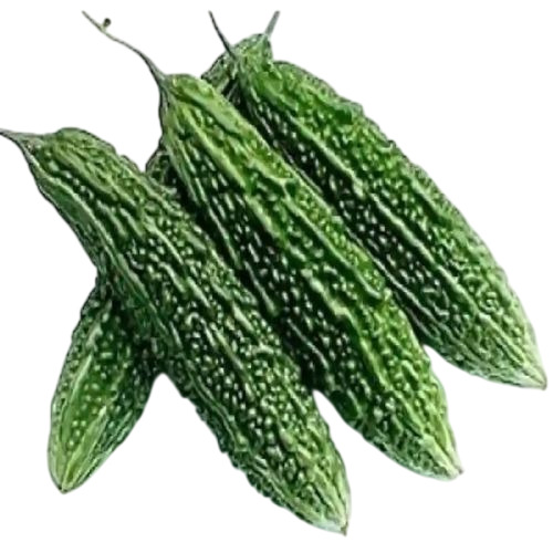 Fresh Bitter Gourd