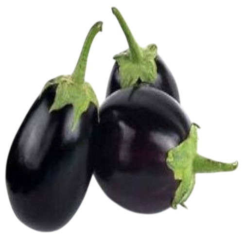 Fresh Brinjal