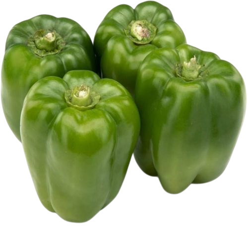 Fresh Green Capsicum