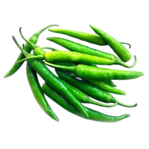 Fresh Green Chilli