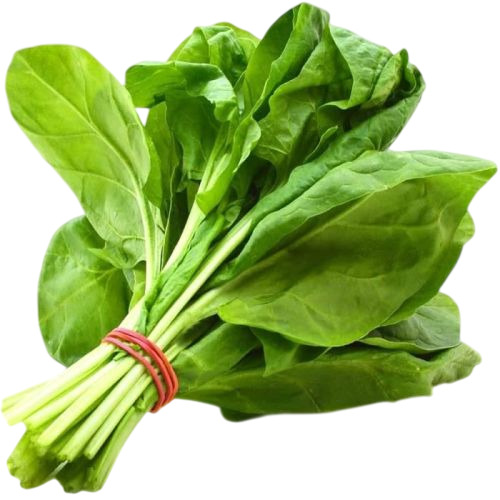 Fresh Spinach Leaves