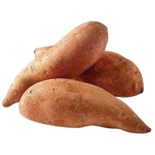 Fresh Sweet Potato