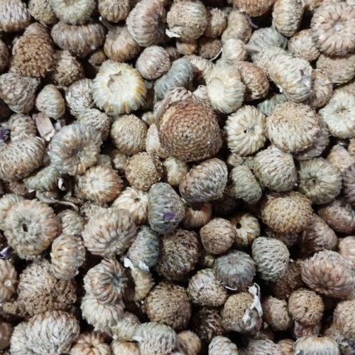 Akarkara Seeds