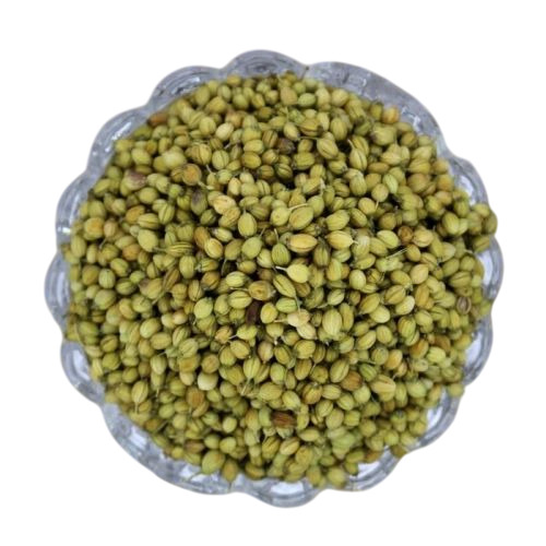 Dried Coriander Seeds