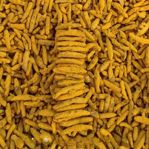 Dried Turmeric Finger