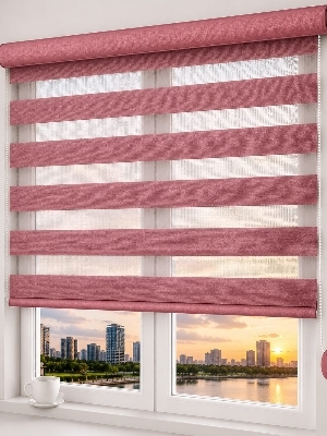 Durable Zebra Blinds