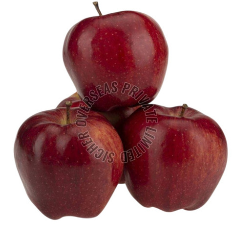 Fresh Apple