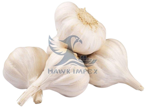 Fresh Garlic