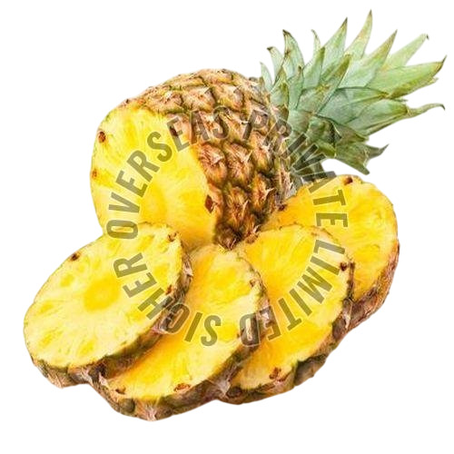 Fresh Pineapple