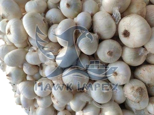 White Onion